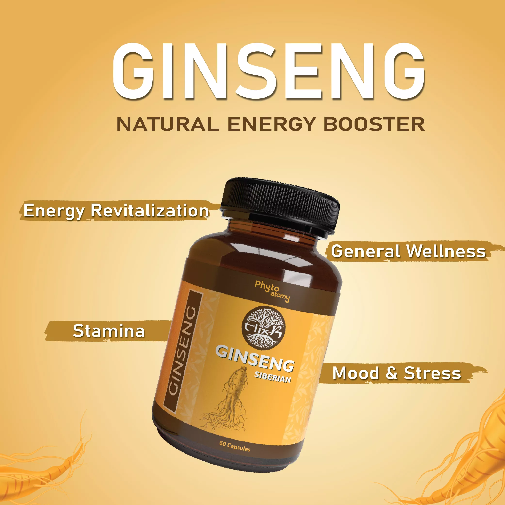 Siberian Ginseng (60 Capsule) - HS00563